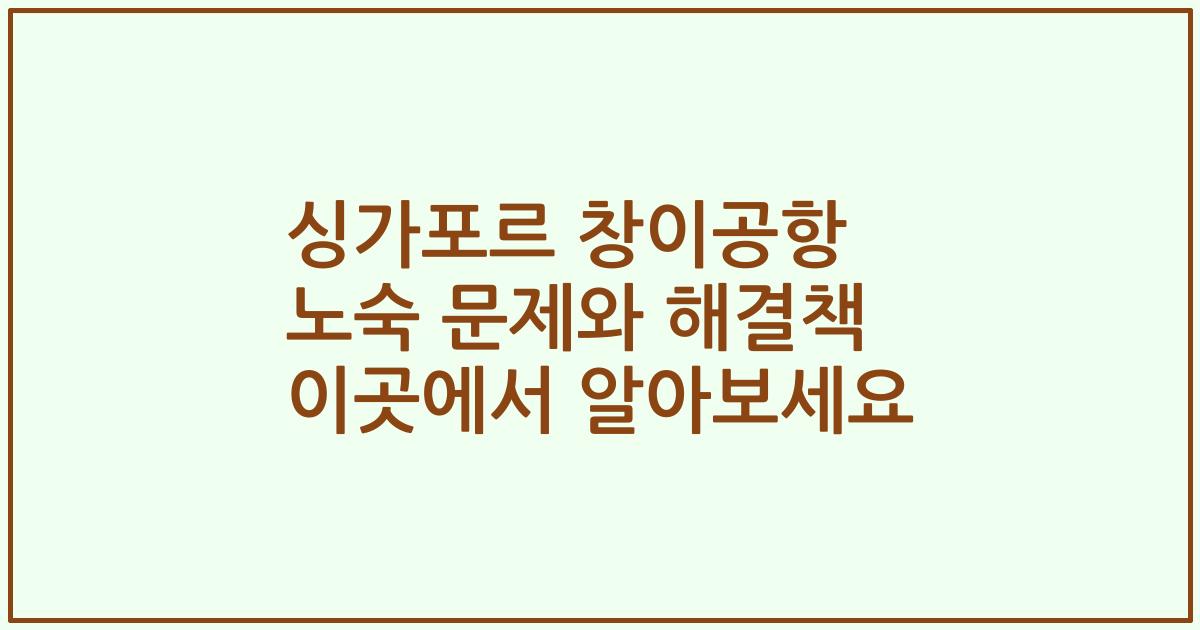 싱가포르 창이공항 노숙 문제와 해결책 이곳에서 알아보세요